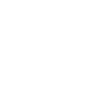 PIZZA HERALTICE